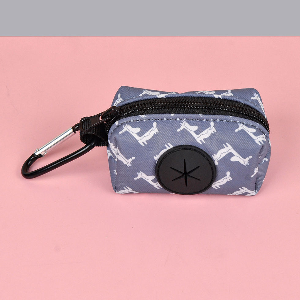 Thumbnail: Rainbow Print Fashion Design Dog Poo Bag Holder For Dog Leash Attachment (Withou