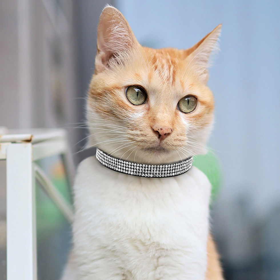Thumbnail: Soft Pink Suede Leather Cat Collar - Cute Bling Rhinestone Design, with Bell & S