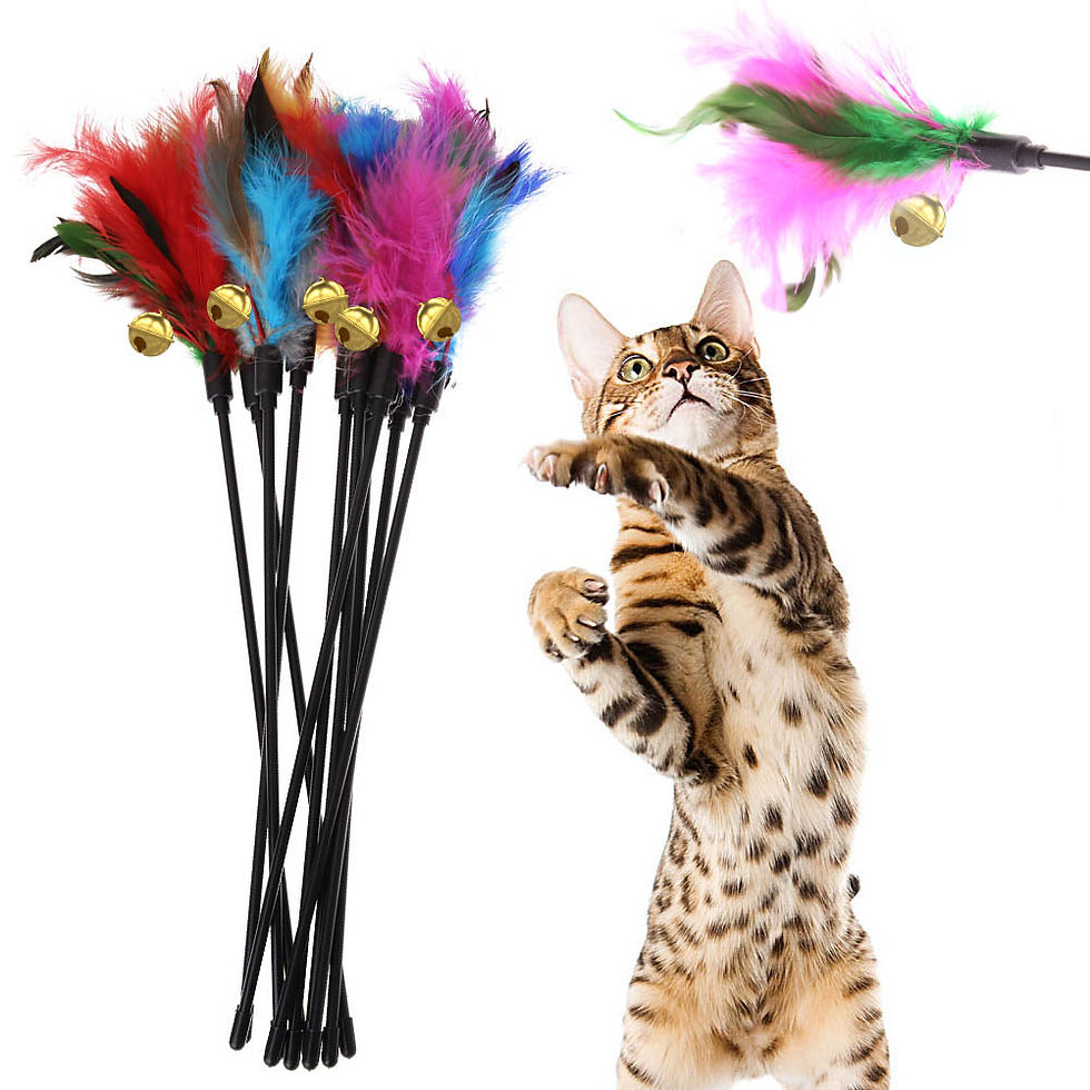 Thumbnail: 5pcs/set Cat Interactive Wand Colorful Feather Chicken Feather Cat Stick Bell Po