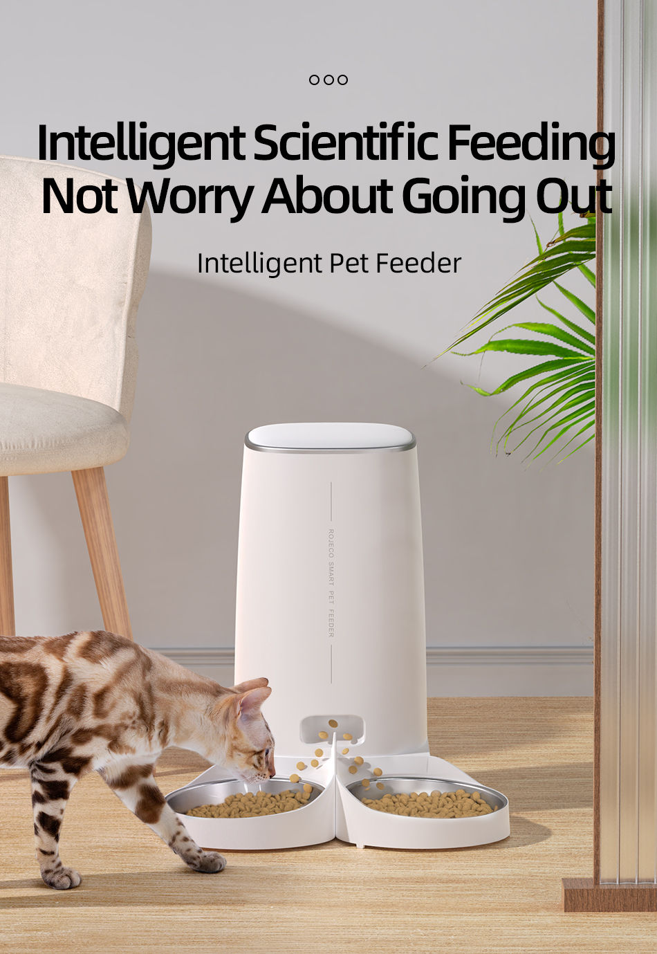 Thumbnail: ROJECO Automatic Cat Feeder Pet Smart Cat Food Kibble Dispenser Remote Control A