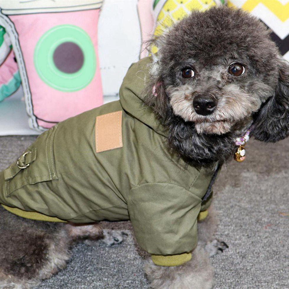 Thumbnail: Winter Puppy Pet Dog Coat for Small Medium Dogs Thicken Warm Chihuahua Yorkies H