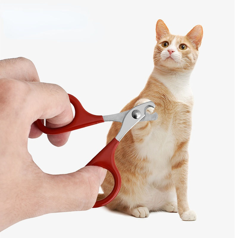 Thumbnail: Professional Cat Nail Scissors Pet Dog Nail Clippers Toe Claw Trimmer Pet Groomi
