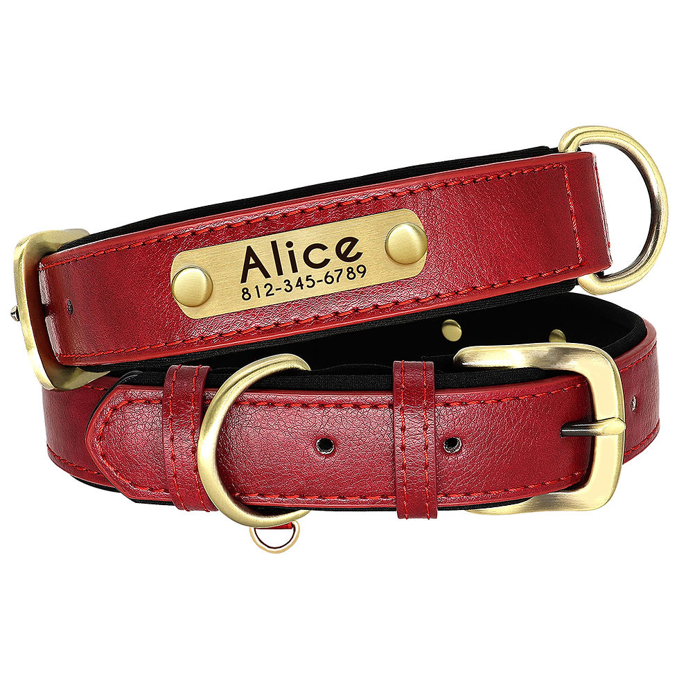 Thumbnail: Personalised Leather Collar & Lead Set
