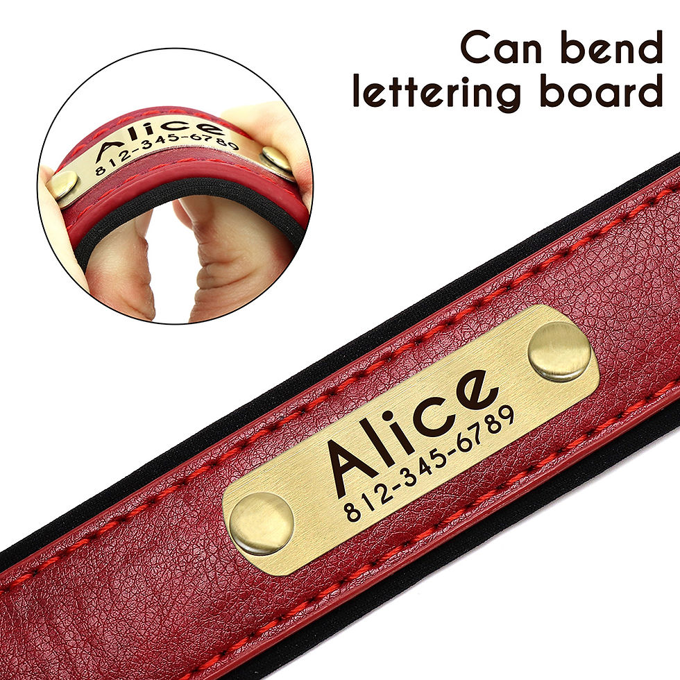 Thumbnail: Personalised Leather Collar & Lead Set