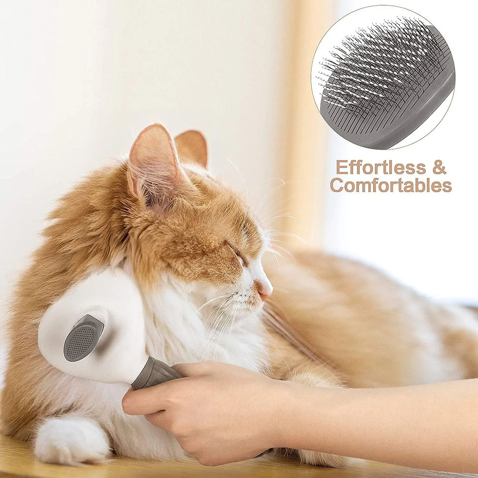 Thumbnail: Pet Dog Brush Cat Comb Self Cleaning Pet Hair Remover Brush For Dogs Cats Groomi