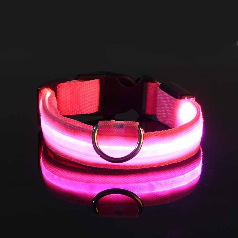 Thumbnail: Nylon LED Night Safety Flashing Glow In The Dark Dog Leash Dogs Luminous Fluores