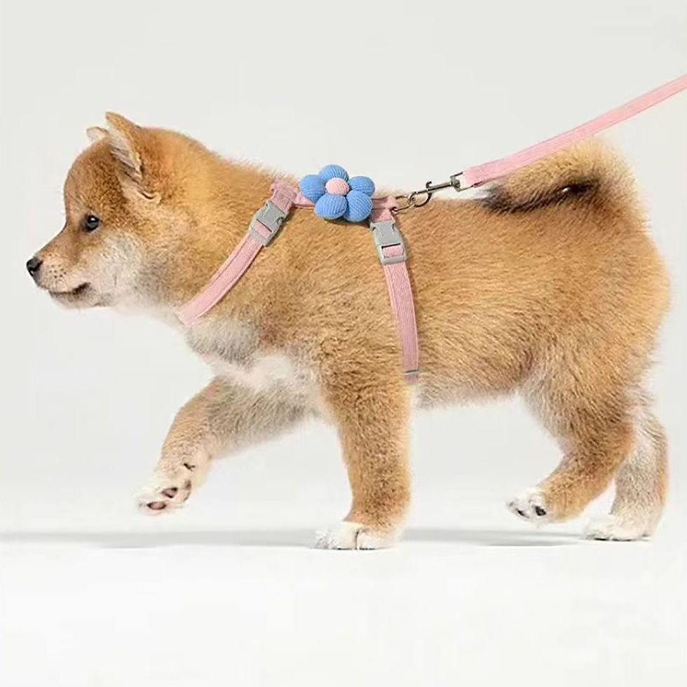 Thumbnail: Cat Harness and Leash Sets Adjustable Dog Harness for Small Dog Leash Breashable