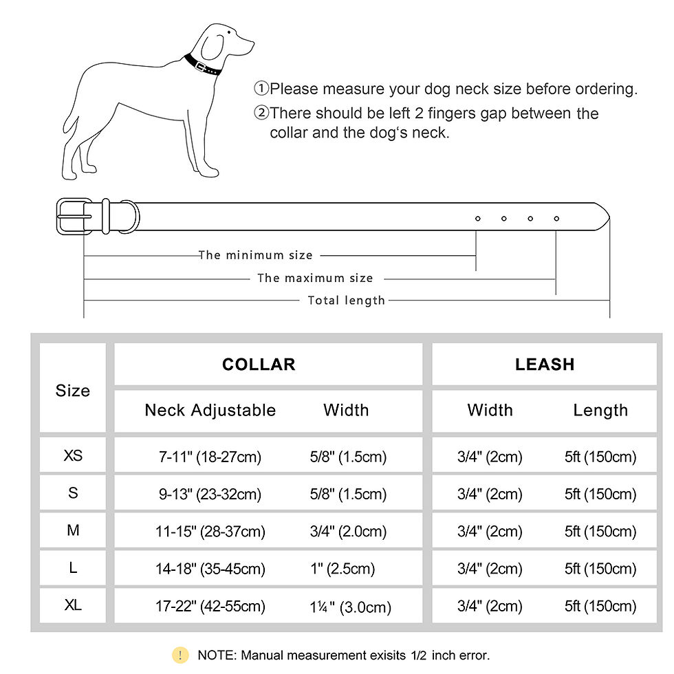 Thumbnail: Personalised Leather Collar & Lead Set