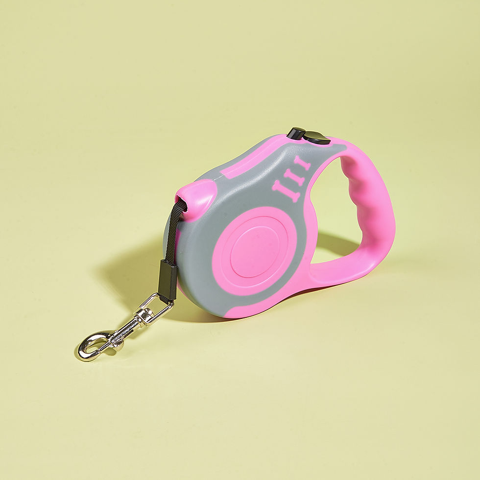 Thumbnail: 1pc/3pcs 3m 5m Dog Leash for Small Dogs Cat Automatic Retractable Nylon Lead Pup