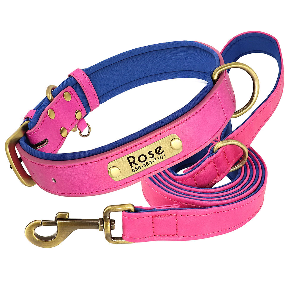 Thumbnail: Personalised Leather Collar & Lead Set