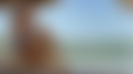 Tendências da Moda Praia: Verão 2025 entre Sofisticação e Nostalgia!