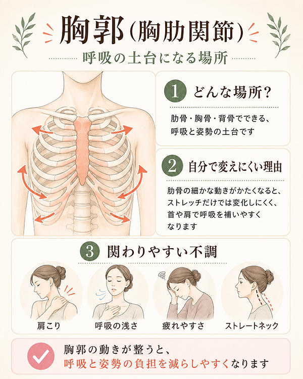 ChatGPT Image 2026年8月19日 18_06_15 (2).png