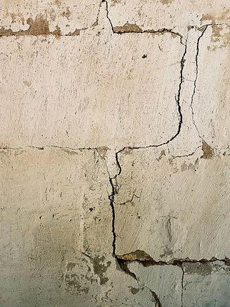 pexels-62575186-9212575.jpg