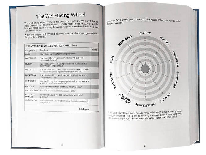 The Well-Being Wheel