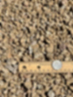 1/2" mn Madison Gold