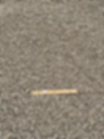 1/2" wsh Madison Gold