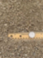 1/4" mn Madison Gold
