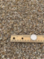 1/4" wsh Madison Gold
