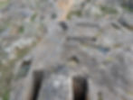 Necropolis Tuvixeddu tombs
