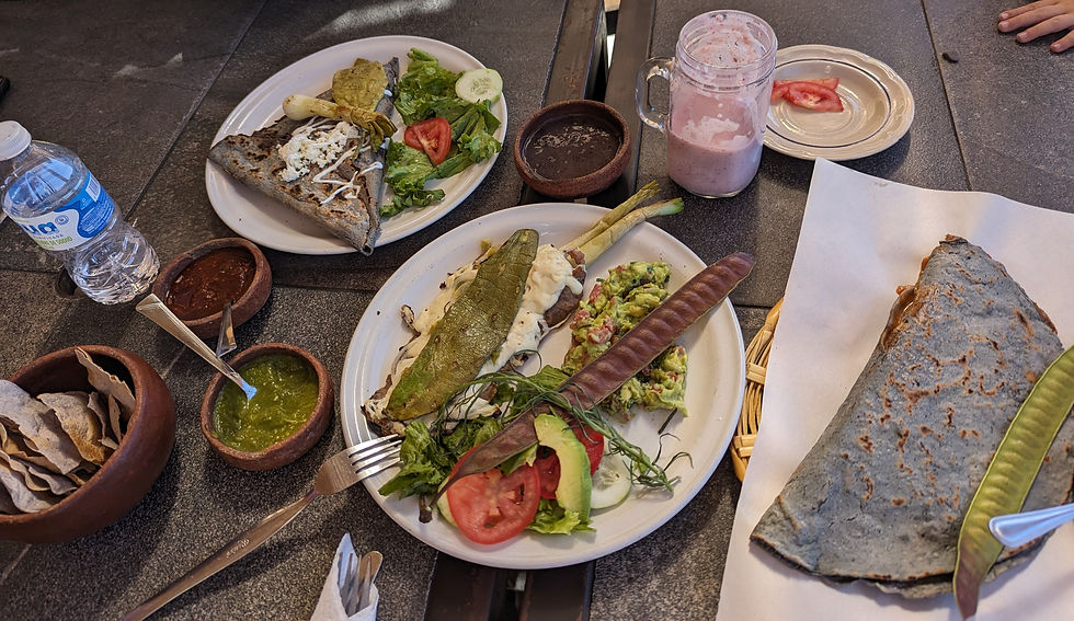 various mexican dishes with purple tortillas