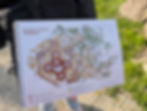 a map of su nuraxi complex