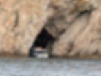 boat squeezes into a sea cave opening