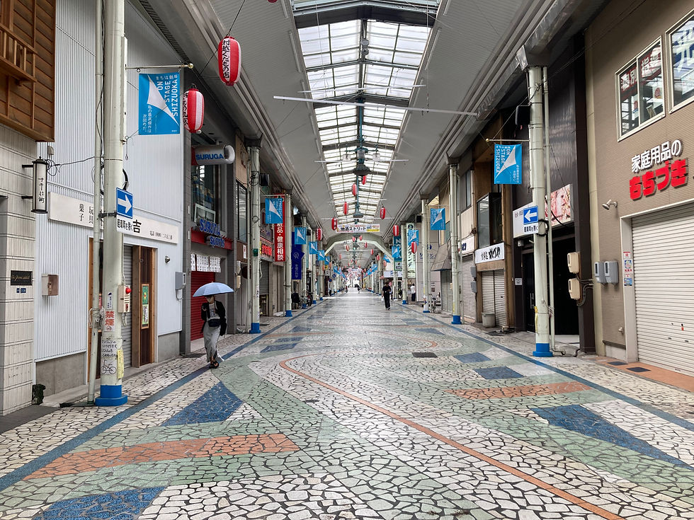 a quiet indoor shopping street