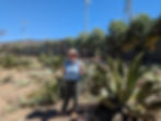 woman stands amongst harvested agave