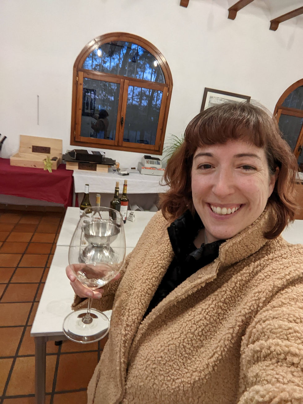 wine tasting in winter in Spain