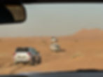 desert jeeps drive over dunes