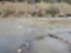 natural hot pools