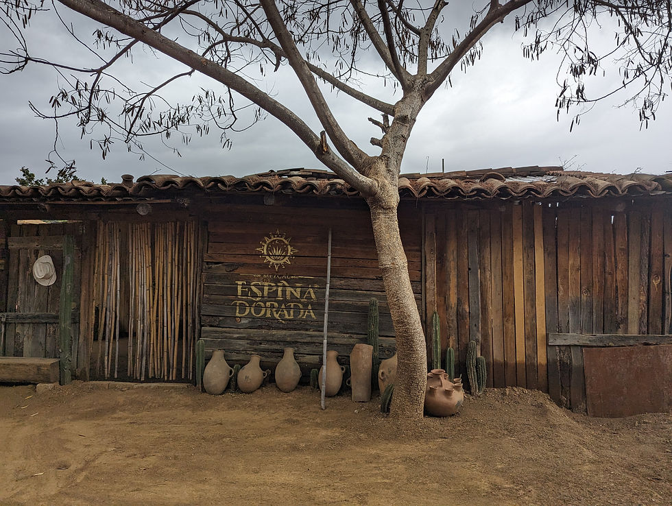 a wooden building with clay pots