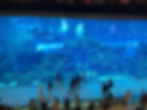aquarium in a mall