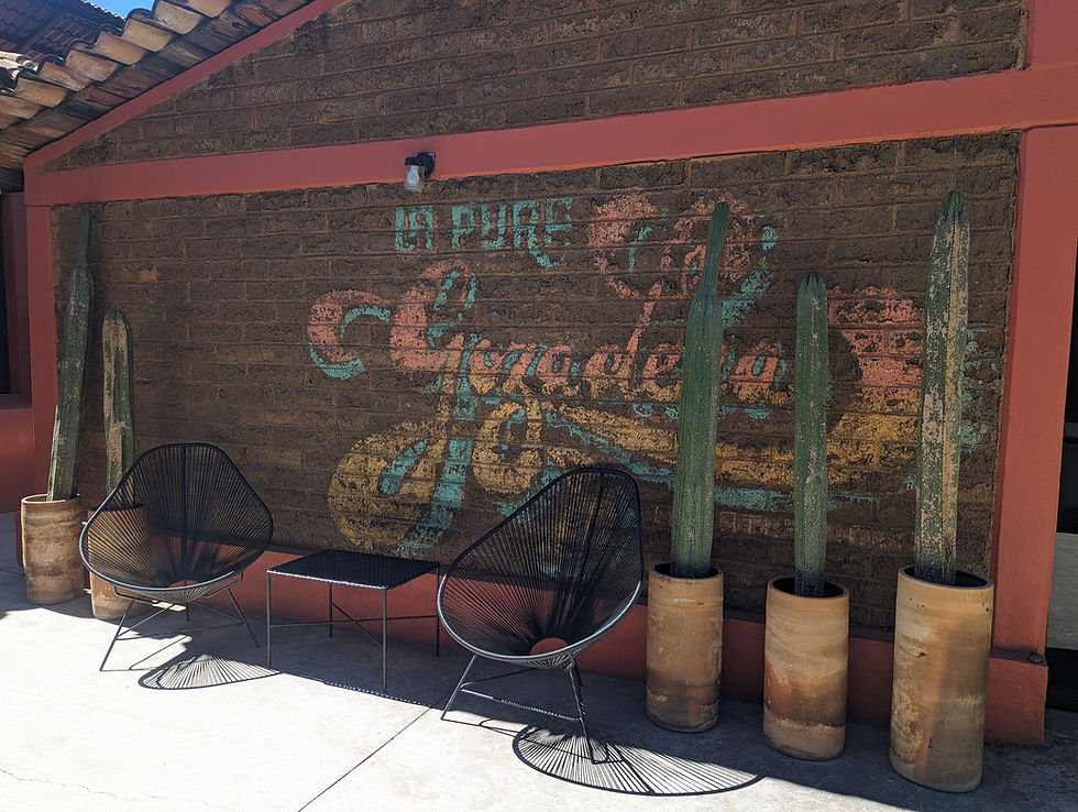 brick wall art with cactus and chairs