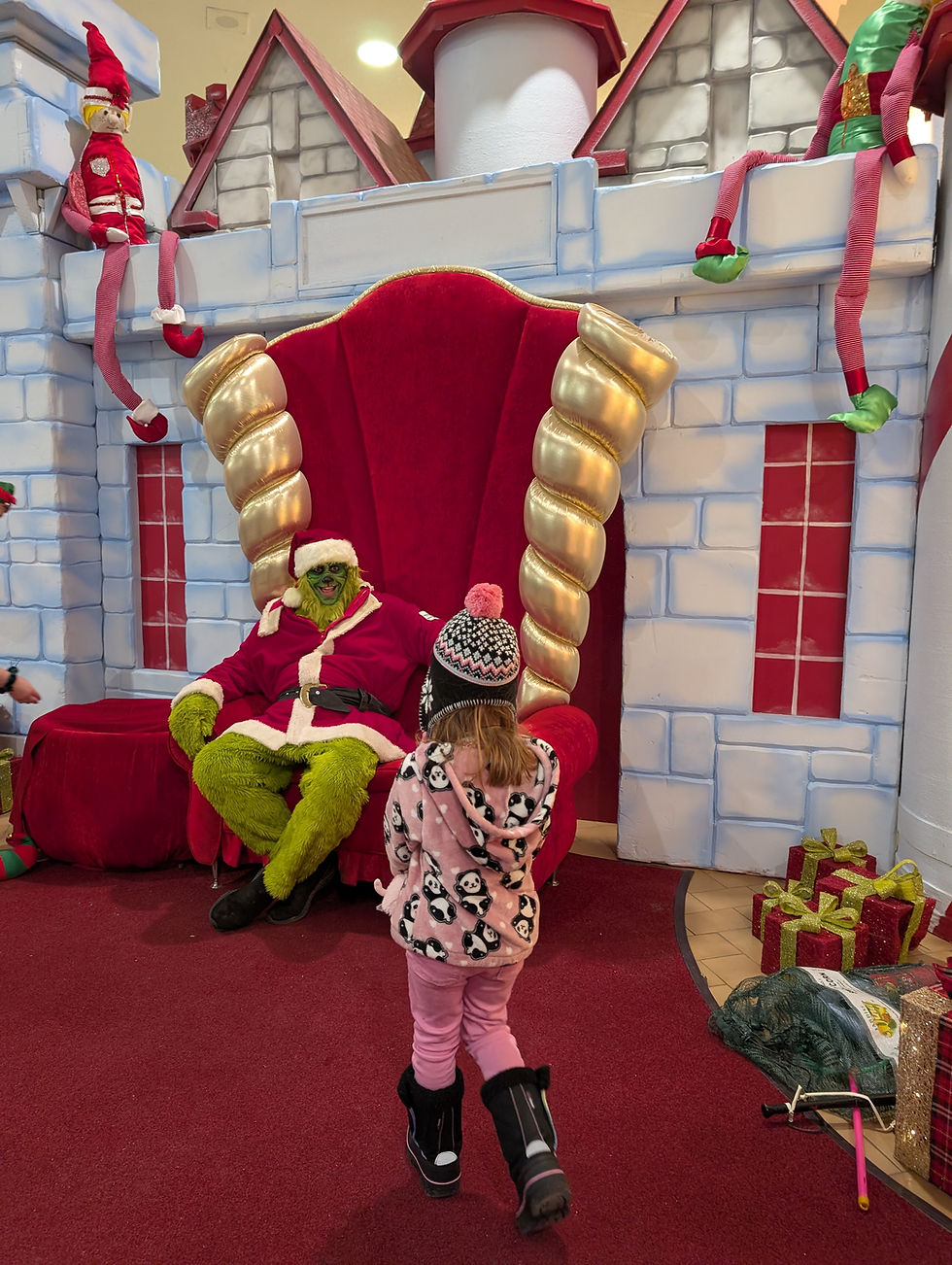 a girl meets the Grinch at a mall