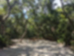 Shaded large sites at Anastasia State Park
