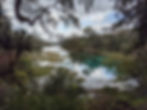 Picturesque Rainbow Springs
