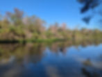 Spring run at Wekiwa Springs State Park