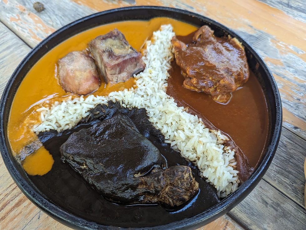 a trio of mole sauces with meat and rice