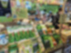 display of green tea