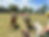 horseback riding on a gaucho tour