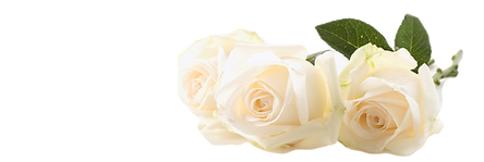 3D_white_roses_edited.png