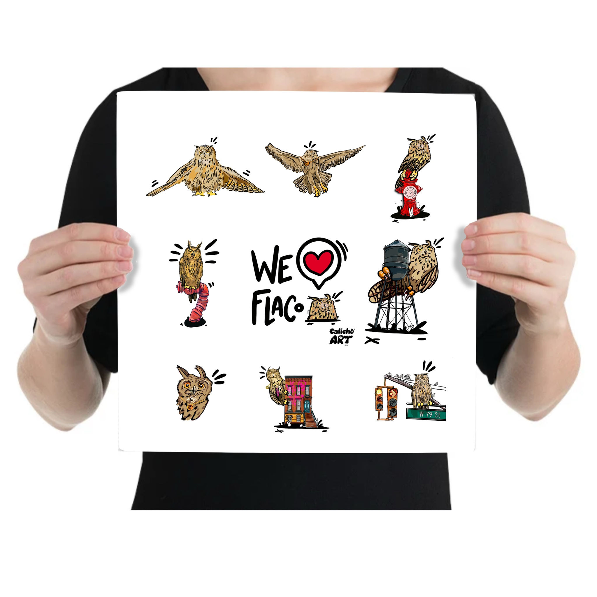 Print all about FLACO