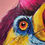 Thumbnail: Hornbill from bronx