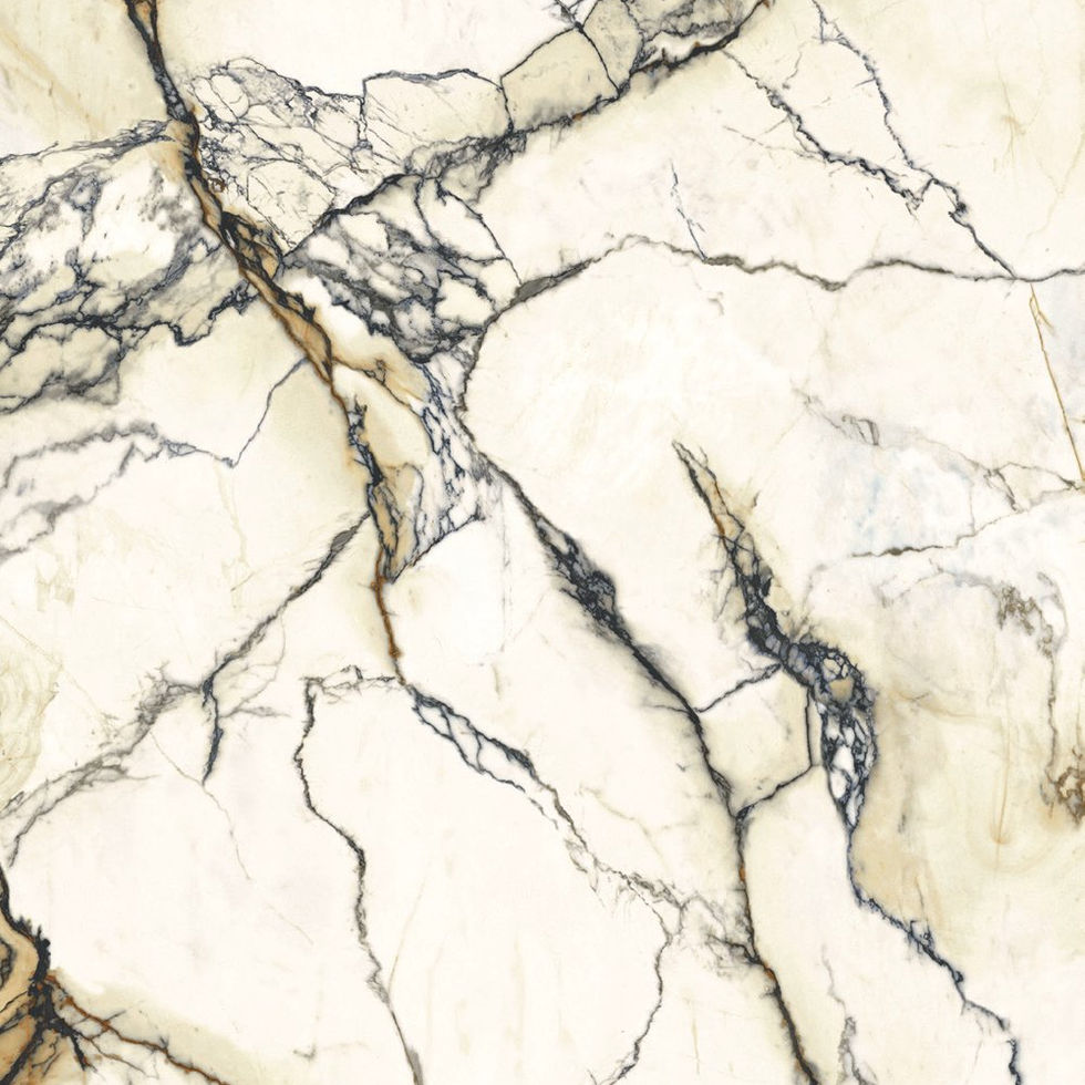 Paonazzetto Reale porcelain slab – bookmatch side B