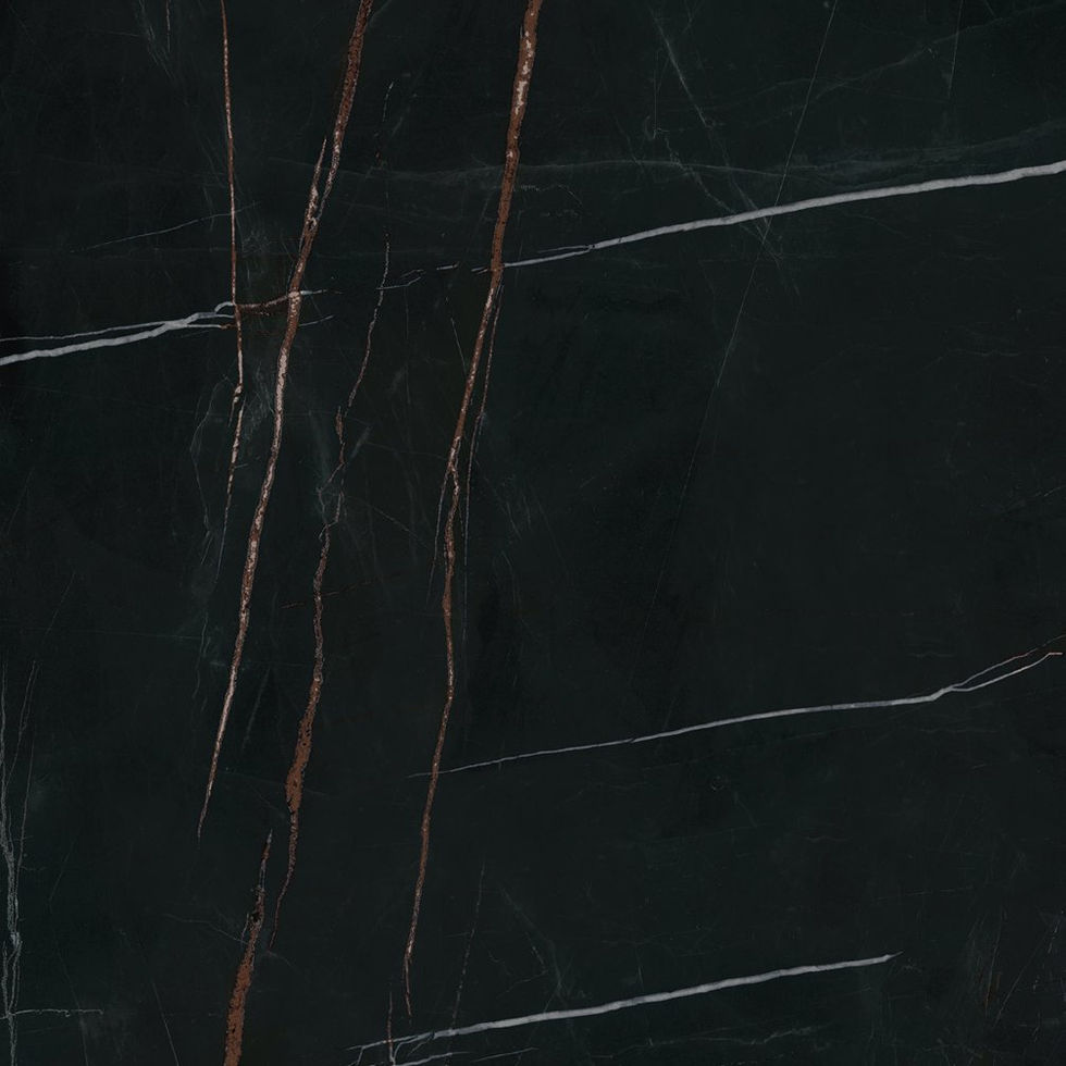 Sahara Noir porcelain slab – bookmatch side B