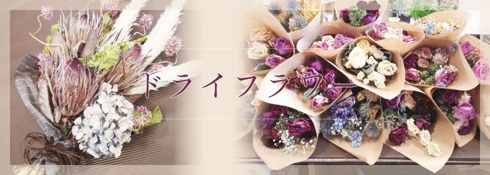 ドライフラワー くらよし 花幸 鳥取県倉吉市 花屋