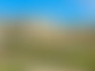 Château de Versailles