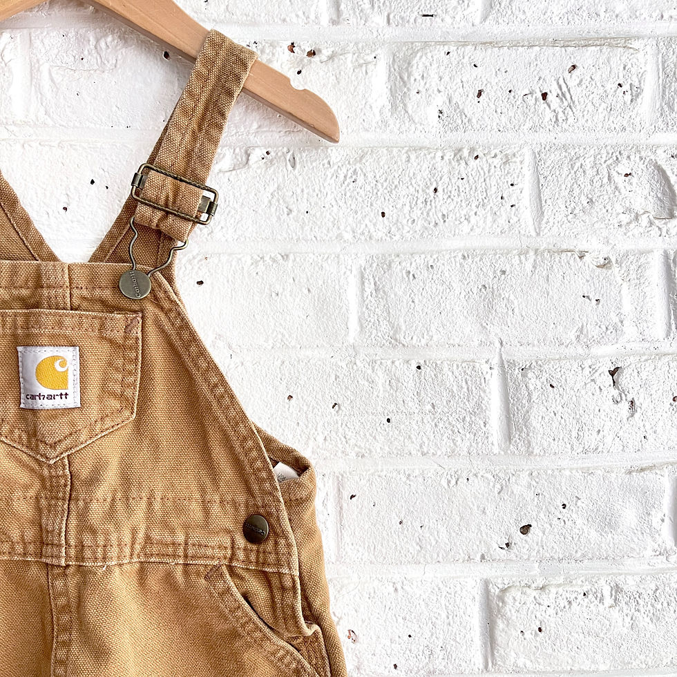 Thumbnail: Broken-in Faded Carhartt Overall