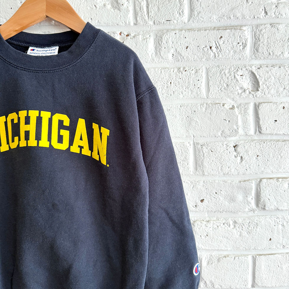 Thumbnail: Champion Michigan Pullover